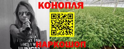 мяу мяу мука Бердск