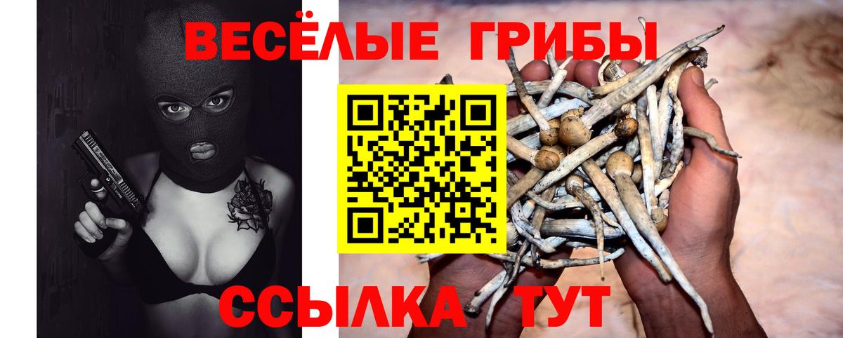 Псилоцибиновые грибы мицелий  Вход с VPN  Ухта 